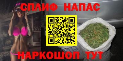 скорость Бийск