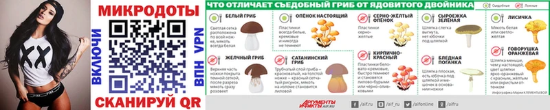 Галлюциногенные грибы Psilocybine cubensis  Елизово 
