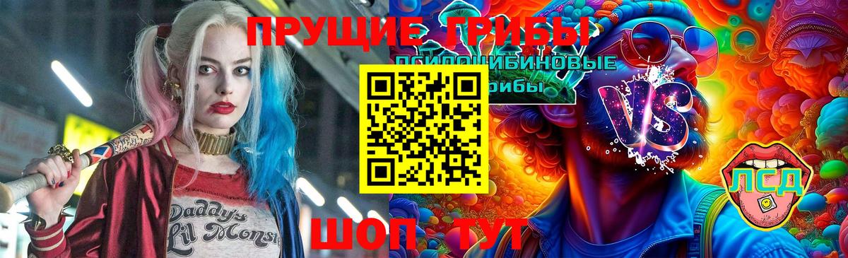 Псилоцибиновые грибы мицелий Елизово